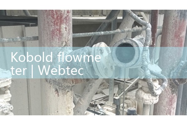 Kobold flowmeter